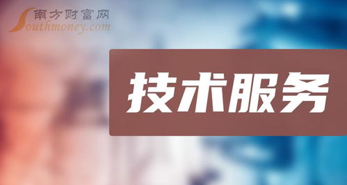 2024年技術(shù)服務(wù)概念上市公司大盤點